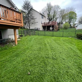 grass cutting by Island Life Business Ventures, LLC reviewed on May 6, 2024