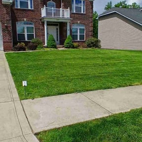 yard service by Premium Design Landscaping Inc reviewed on August 20, 2025