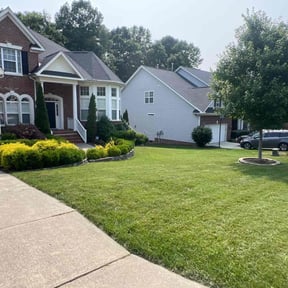 landscaping services by Landscapetheflyer reviewed on November 25, 2025