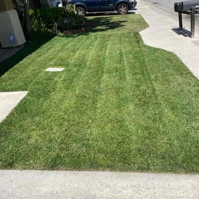 yard service by Trash Cupid Rental reviewed on August 19, 2025
