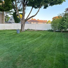 yard care by Big Country Lawn Care, LLc reviewed on August 17, 2025