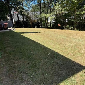 Bush Trimming by IGM Lawn Care &amp; Landscape reviewed on June 11, 2025