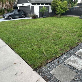 yard service by Pro Lawn Cut reviewed on August 20, 2025