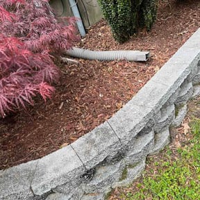 Leaf Removal by Mozelle Lawncare reviewed on June 8, 2026