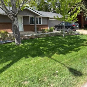 residential landscaping by Simple lawncare reviewed on August 20, 2025