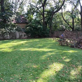 Leaf Removal by Ascension Care, LLC. reviewed on September 30, 2025