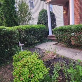 Bush Trimming by Y.A.Y Landscaping reviewed on November 20, 2025