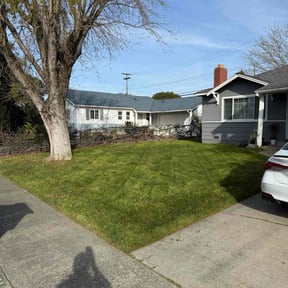 residential landscaping by Luis olivarez reviewed on August 21, 2025
