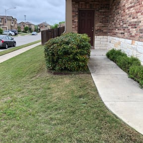 Bush Trimming by Grateful Green Lawn Care reviewed on August 18, 2025