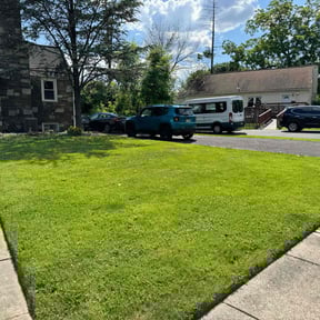 lawn service by Master of landscape reviewed on August 16, 2024