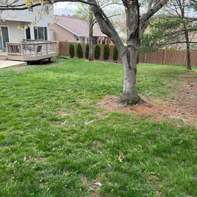 landscaping services by Trim&amp;Works reviewed on September 9, 2023