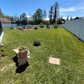 yard care by Richy reviewed on August 15, 2025