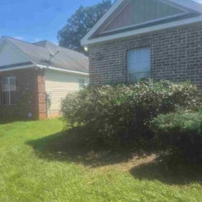 Bush Trimming by Boerne Concierge reviewed on November 22, 2025