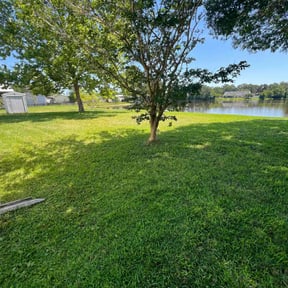 landscaping by Best Mowers reviewed on August 19, 2025