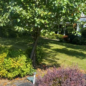 landscape maintenance by Woodruff Contracting LLC. reviewed on August 15, 2025