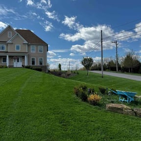landscaping services by Clean Cuts Lawn Care reviewed on August 18, 2025