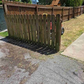 Bush Trimming by Lee’s lawn care reviewed on May 18, 2026