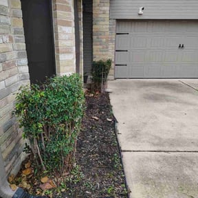 Bush Trimming by Custom lawns and outdoors reviewed on May 11, 2026