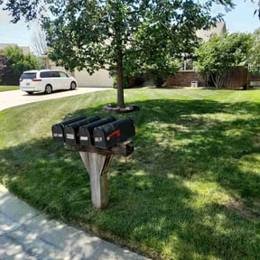 yard service by Season To Season reviewed on August 16, 2025