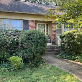 Bush Trimming by FreedomLawnCare reviewed on October 24, 2025