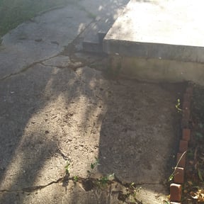 Leaf Removal by Fisher's Lawn & Walls reviewed on August 20, 2025