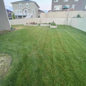 yard service by Express Ground Control reviewed on August 15, 2025