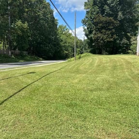 gardening service by Show Up Show Off Landscaping And More reviewed on August 20, 2025