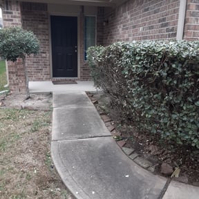 Bush Trimming by A Man and His Machines Lawn Services LLC reviewed on August 15, 2025