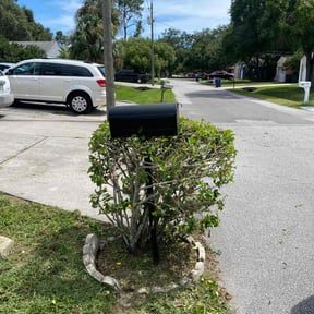 Bush Trimming by Elite lawncare reviewed on August 16, 2025