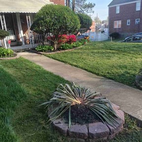 yard care by Carranza Landscape reviewed on August 20, 2025