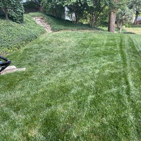 turf care by Rwd services reviewed on August 20, 2025
