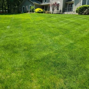 residential landscaping by Johnson lawn services reviewed on August 17, 2025