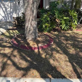 Leaf Removal by ROE LAWN SERVICE reviewed on March 22, 2026