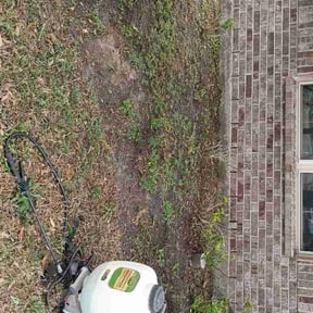 Flower Bed Weeding by Nature's Trim reviewed on April 6, 2026