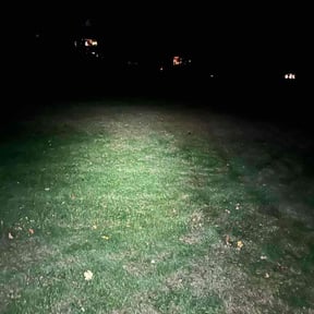 Leaf Removal by Unity Enterprises LLC reviewed on October 19, 2025