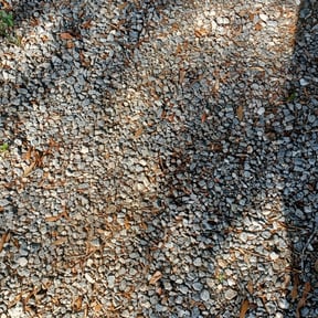 Leaf Removal by Alpine Exterior Services reviewed on September 23, 2025