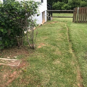 Flower Bed Weeding by Honey do home & lawn reviewed on August 19, 2025