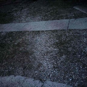 Leaf Removal by Zebra Cuts Lawn &amp; Landscaping LLC reviewed on April 12, 2026