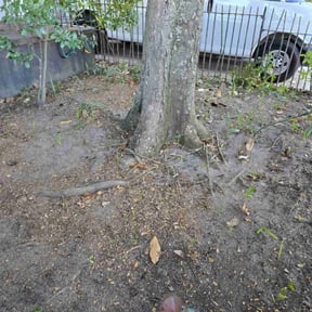 Leaf Removal by Towery&#039;s Lawn Care reviewed on September 6, 2025