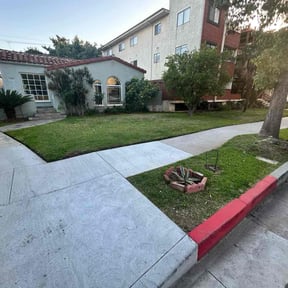 lawn care services by Green lawn&#039;s reviewed on September 9, 2024