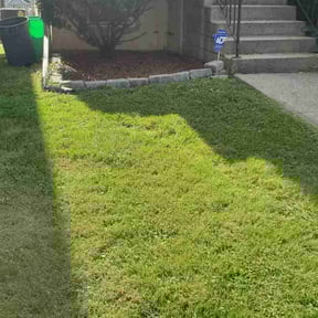 turf maintenance by Pensacola Lawn & Garden reviewed on April 1, 2024