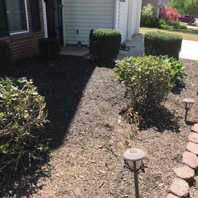 Bush Trimming by KRP Landscape LLC reviewed on April 18, 2026