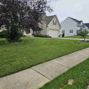 landscape maintenance by Knowledge As A Service Company reviewed on August 16, 2025