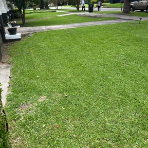 Bush Trimming by A Step Above Lawn Care LLC reviewed on August 18, 2025