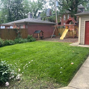 lawn maintenance by Chako's Mantenence reviewed on August 15, 2025