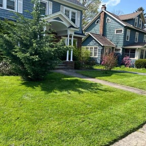 lawn maintenance by K.G.M SERVICES LLC. reviewed on June 1, 2025