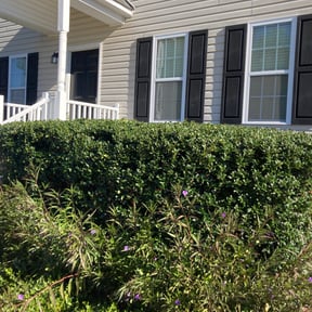 Bush Trimming by GC Lawn Care & Landscaping Services reviewed on August 19, 2025