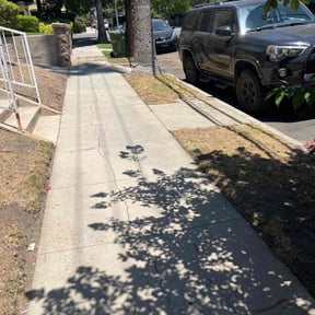 Leaf Removal by Your Money Worth Landscape LLC reviewed on October 1, 2025