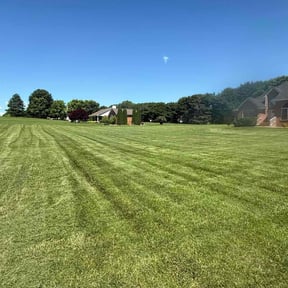 landscaping by Eazy LLC reviewed on August 19, 2025
