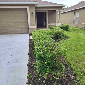 Bush Trimming by Yard pro reviewed on October 22, 2025